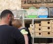 Animalele de companie, bătaie de joc în Qatar » Nu au nici măcar condiții minime de confort și igienă și nici îngrijire medicală adecvată
