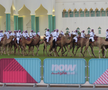 Cămilele sunt ajutoarele Poliției în Qatar