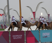 Cămilele sunt ajutoarele Poliției în Qatar