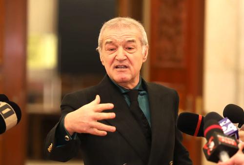 Gigi Becali a votat modificările aduse Legii Sportului