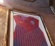 FCSB, în hall of fame-ul Marbella Football Center » Ce au văzut steliștii înainte de amical