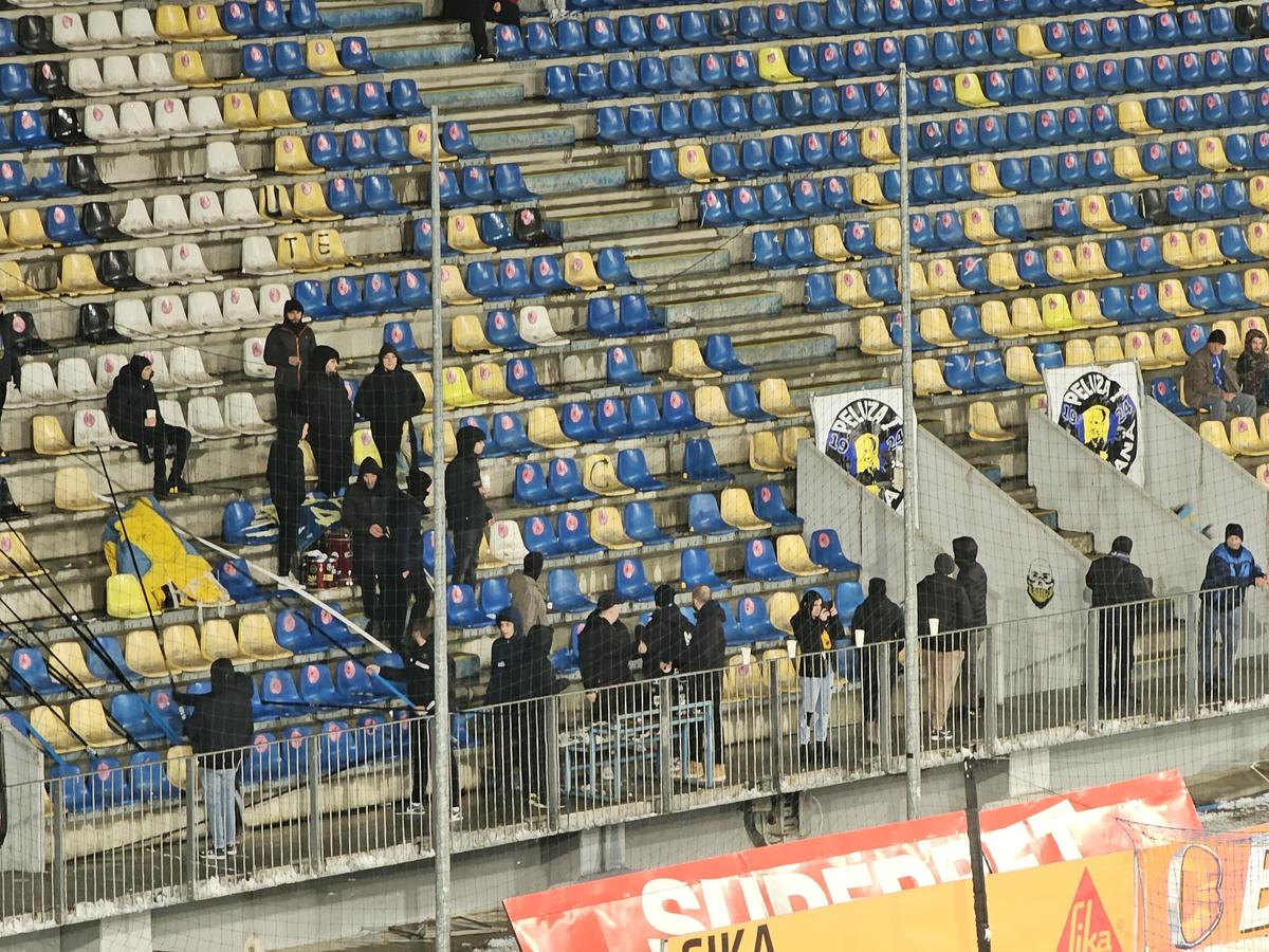 Petrolul - Dinamo, imagini premergătoare meciului