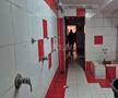 Demolarea stadionului Dinamo, imagini de Cristi Preda (GSP)