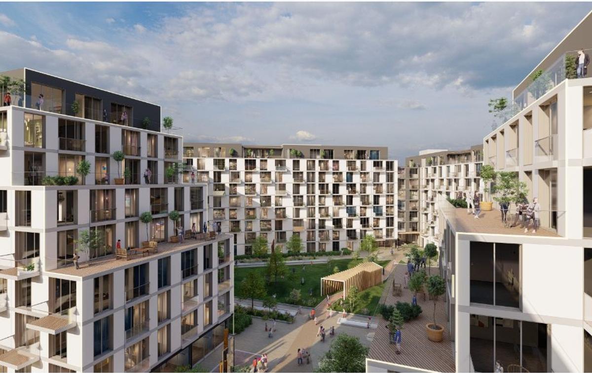 Infinity Nord, proiectul în care Șucu le-a propus fotbaliștilor să investească