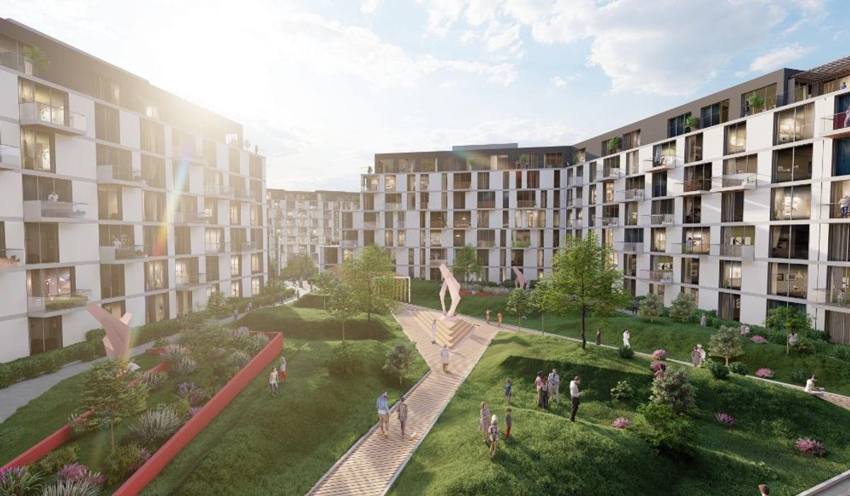 Infinity Nord, proiectul în care Șucu le-a propus fotbaliștilor să investească