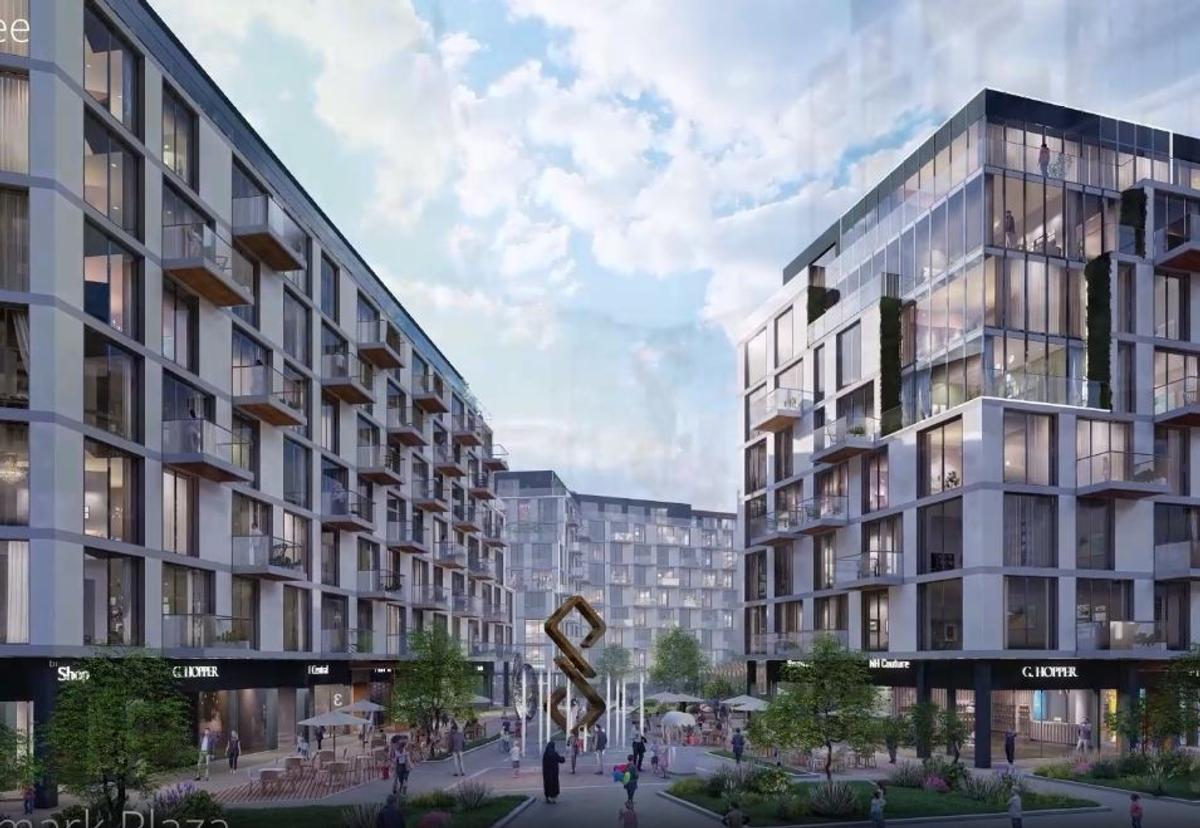 Infinity Nord, proiectul în care Șucu le-a propus fotbaliștilor să investească