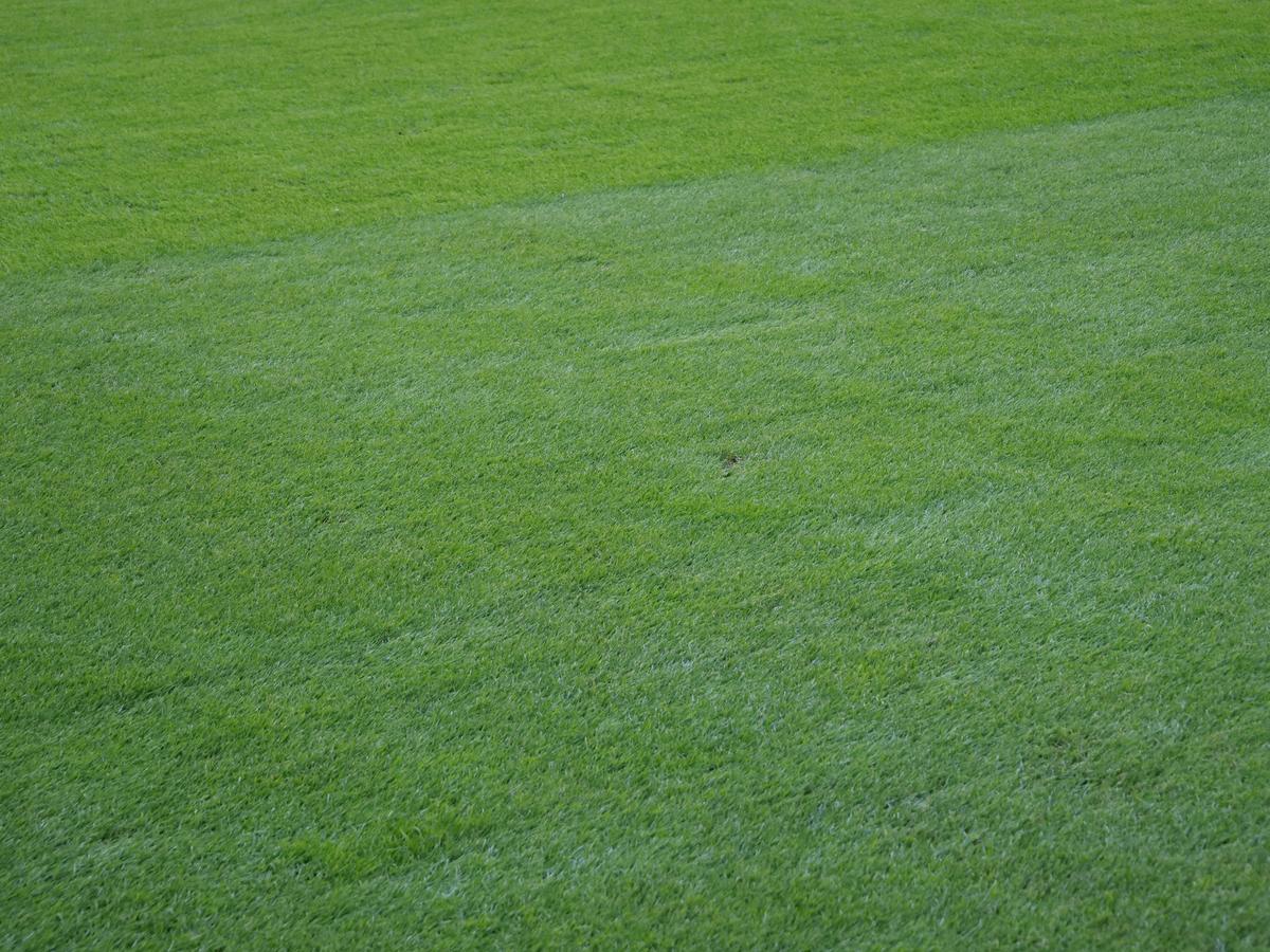 Imagini de la Arena Națională, înainte de FCSB - PAOK, ora 15:00