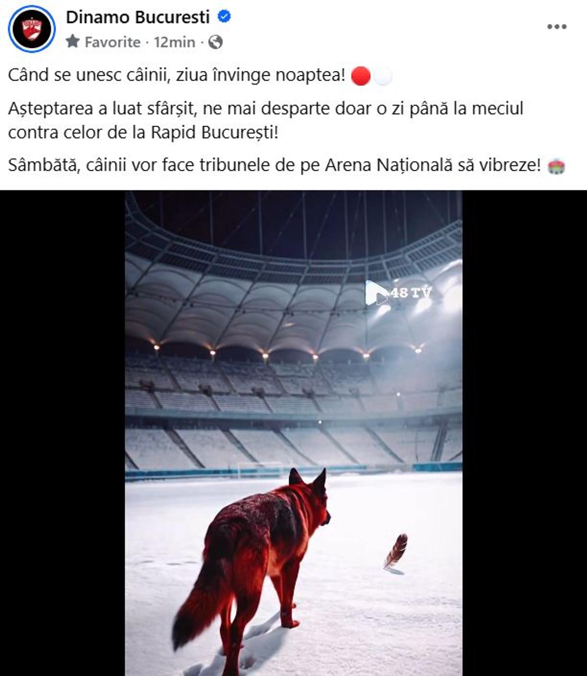 Câinele latră la pană » Dinamo, postare controversată în așteptarea meciului cu Rapid