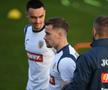 Imagini de la antrenamentul României » Ce „tricolor” a fost ținut aproape de Edi Iordănescu + ce se întâmplă cu Mario Camora