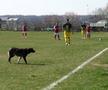 „Jucăm printre tranșee, ca-n război!”. Reportaj GSP la Liga 5, cu fotbal, conducte de gaze și spectatori mascați: „Joacă titulari «Scoică», «Pisică», «Lună», «Buze moi»”