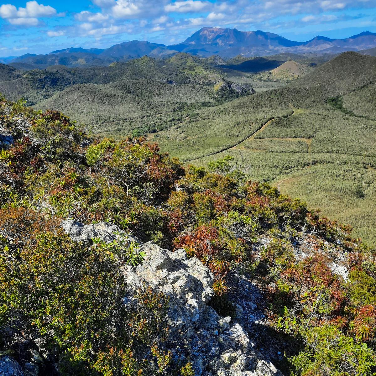 Noua Caledonie