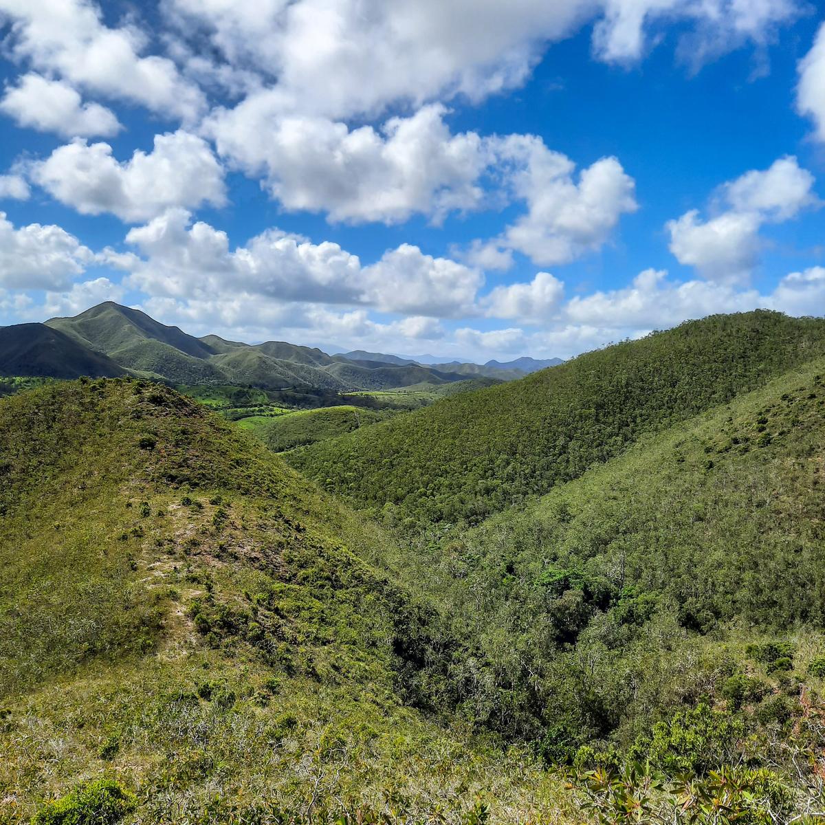 Noua Caledonie