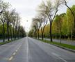 Cum au trăit bucureștenii Paștele » Dragoste în vremea pandemiei + micile plăceri ale vieții