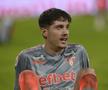 Prepeliță e antrenor, nu și aleșii DDB-ului » Concluzii spectaculoase, după o analiză GSP