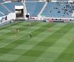 FCU Craiova - Dinamo, imagini de meci