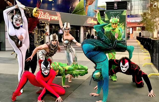 Cirque du Soleil revine la București anul viitor, cu spectacolul „Ovo“ » Cât costă biletele și unde va avea loc show-ul