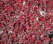 Atmosfera din meciul Danemarca - Anglia, Euro 2024 / foto: Imago Images