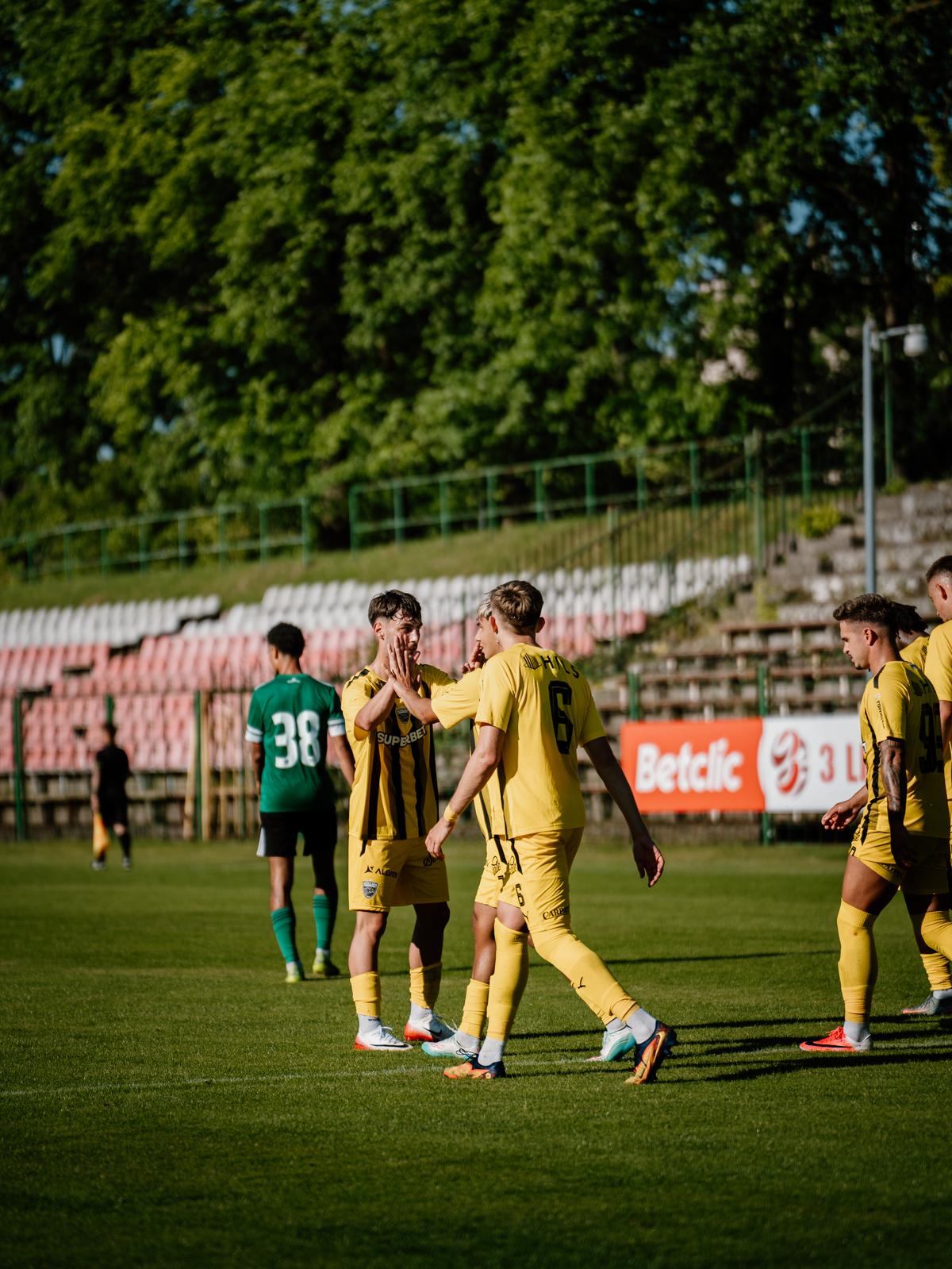 Imagini amical Dinamo - Gornik Leczna
