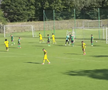 Imagini amical Dinamo - Gornik Leczna