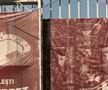 Imagini înainte de Rapid - CFR Cluj