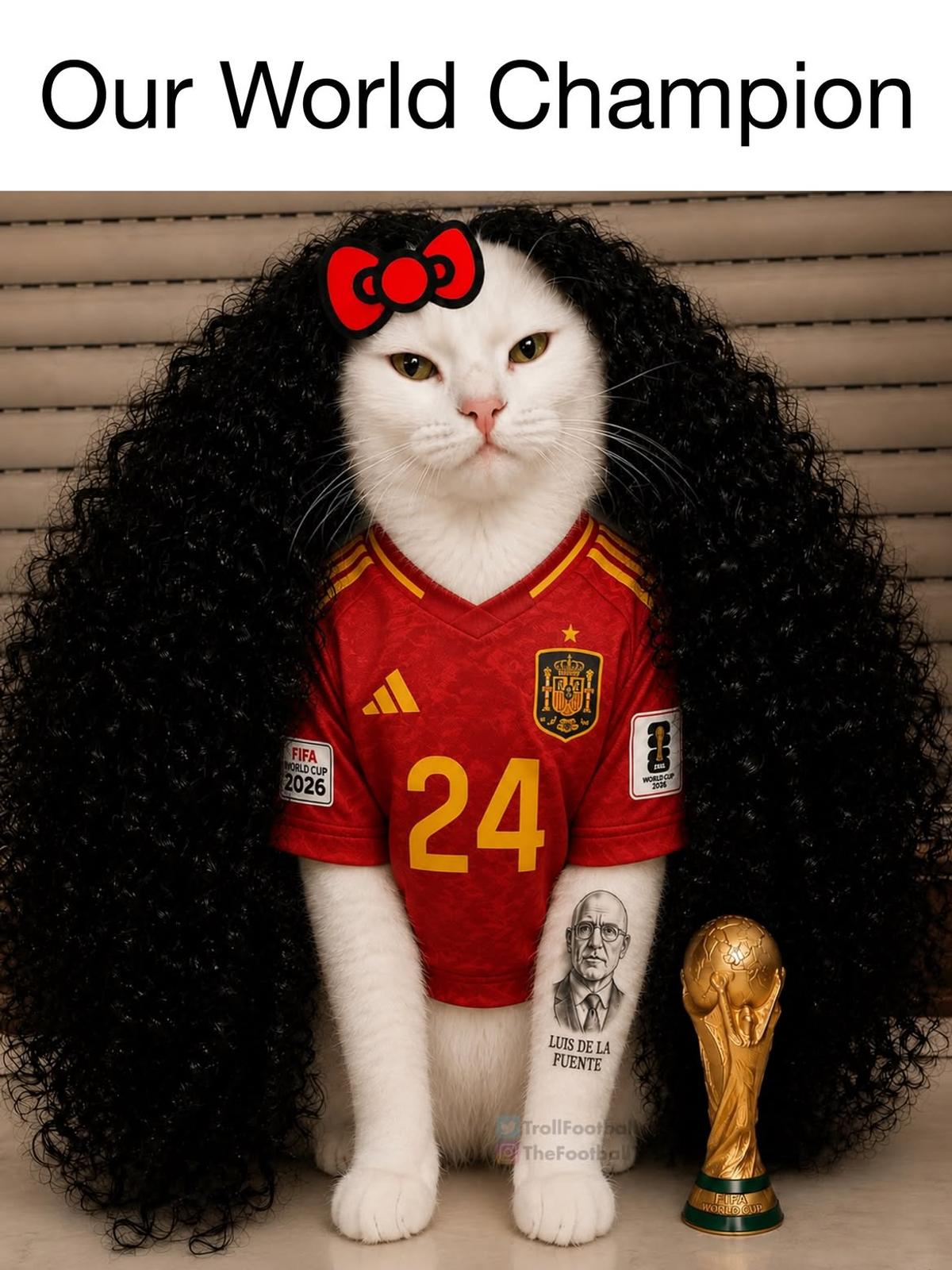 Cele mai tari meme-uri după Spania - Argentina
