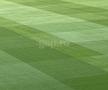 Gazon Arena Națională înainte de FCSB - Poli Iași