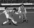 Eduard Iuhas - Petrolul Ploiesti