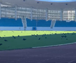 Sute de ciori distrug gazonul de pe Stadionul Municipal din Târgu Jiu / Foto: igj.ro