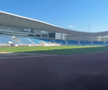 Sute de ciori distrug gazonul de pe Stadionul Municipal din Târgu Jiu / Foto: igj.ro