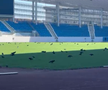 Sute de ciori distrug gazonul de pe Stadionul Municipal din Târgu Jiu / Foto: igj.ro