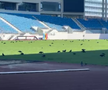 Sute de ciori distrug gazonul de pe Stadionul Municipal din Târgu Jiu / Foto: igj.ro