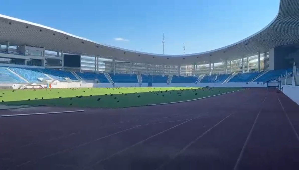 Imagini ireale pe stadionul de 28 de milioane de euro din România » Păsările distrug gazonul
