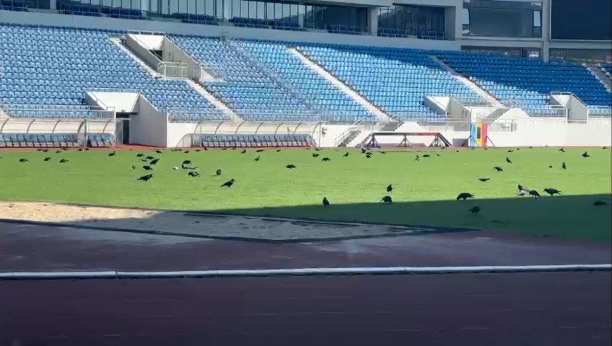 Imagini ireale pe stadionul de 28 de milioane de euro din România » Păsările distrug gazonul