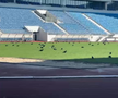 Sute de ciori distrug gazonul de pe Stadionul Municipal din Târgu Jiu / Foto: igj.ro