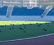 Sute de ciori distrug gazonul de pe Stadionul Municipal din Târgu Jiu / Foto: igj.ro