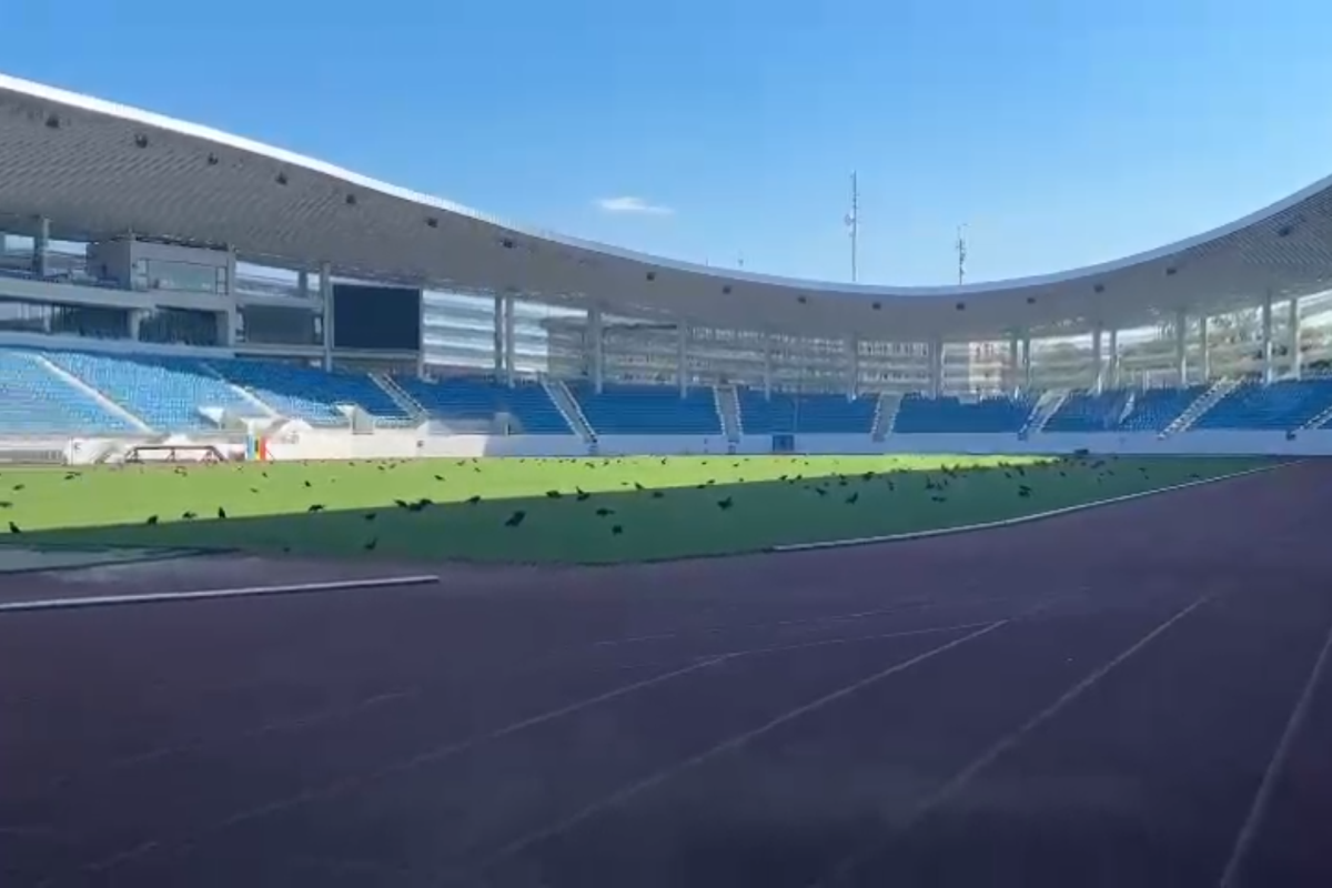 Imagini ireale pe stadionul de 28 de milioane de euro din România » Păsările distrug gazonul