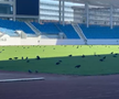Sute de ciori distrug gazonul de pe Stadionul Municipal din Târgu Jiu / Foto: igj.ro