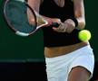 Iveta Benesova, în timpul carierei de jucătoare / FOTO: GettyImages