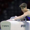 Nicholas Țarcă înaintea unei evoluții la cal cu mânere Foto: Imago Images