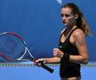 Iveta Benesova, în timpul carierei de jucătoare / FOTO: GettyImages