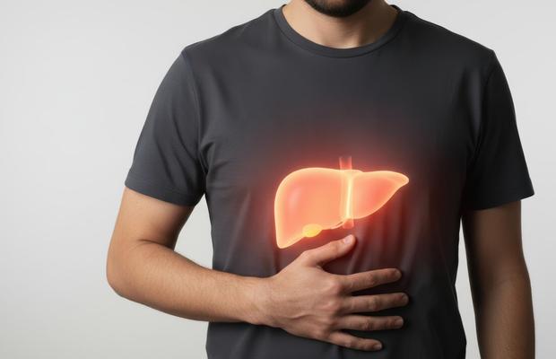 Recuperarea după efort nu depinde doar de mușchi. Ce rol are ficatul?