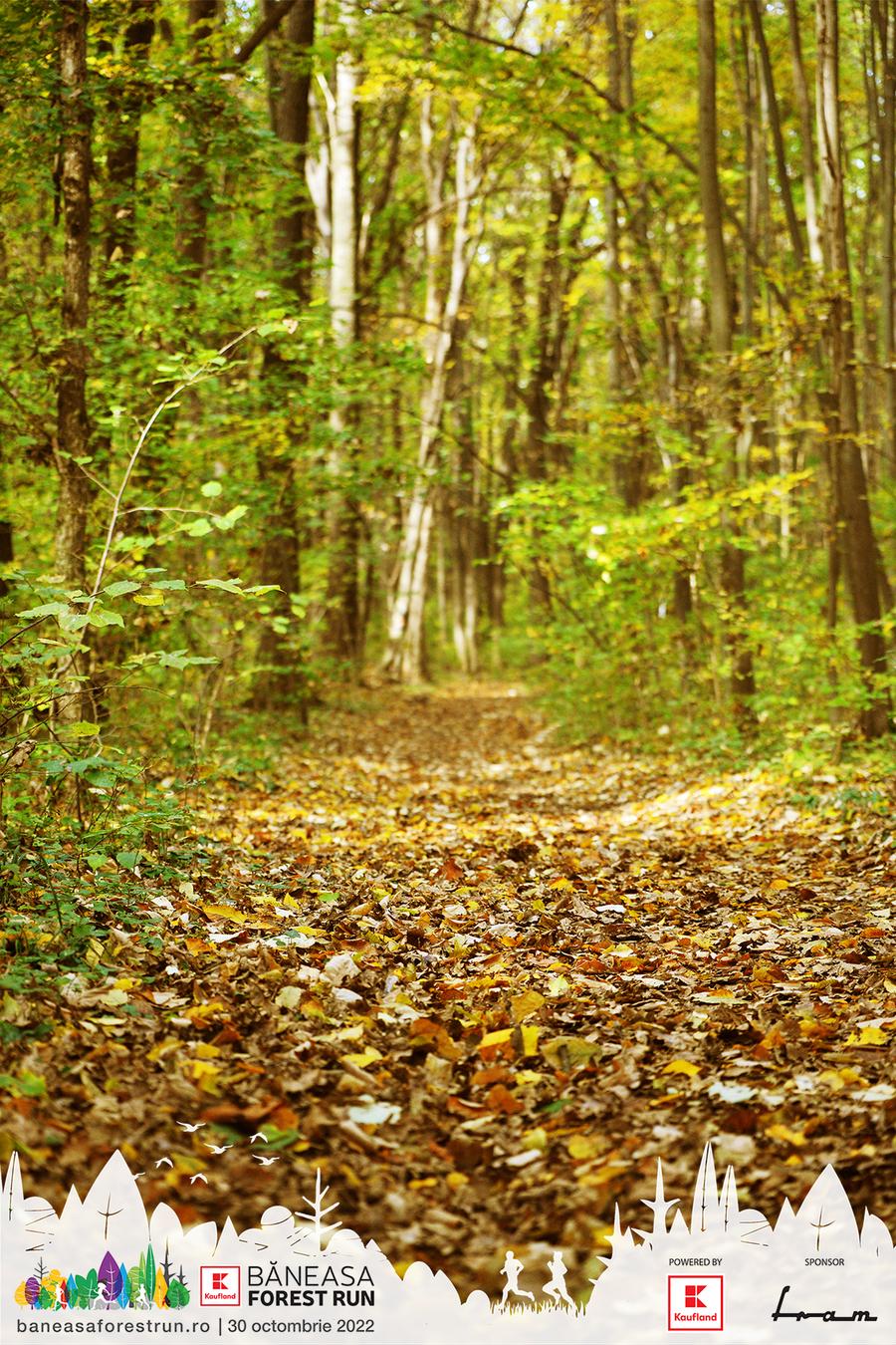 Kit senzațional la Băneasa Forest Run din 30 octombrie