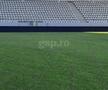 Gazon Arcul de Triumf Dinamo- Farul