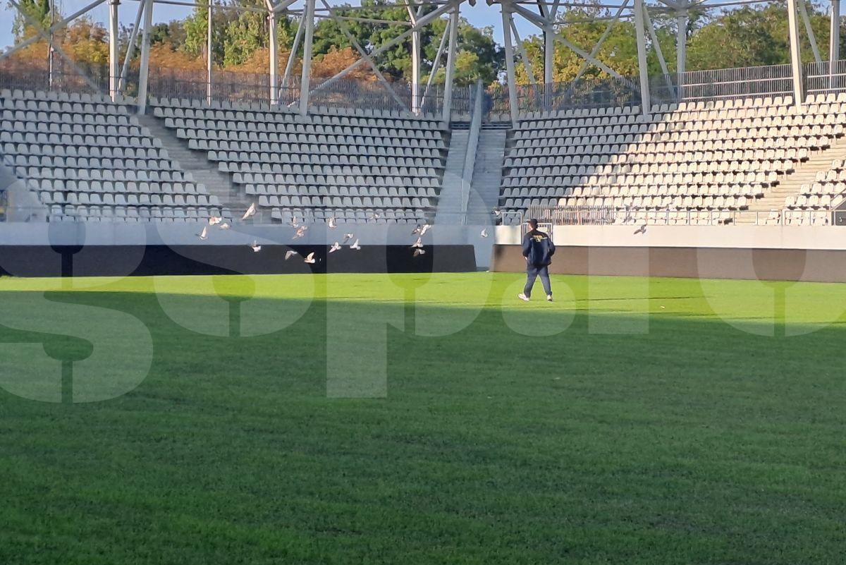 Gazon Arcul de Triumf Dinamo- Farul