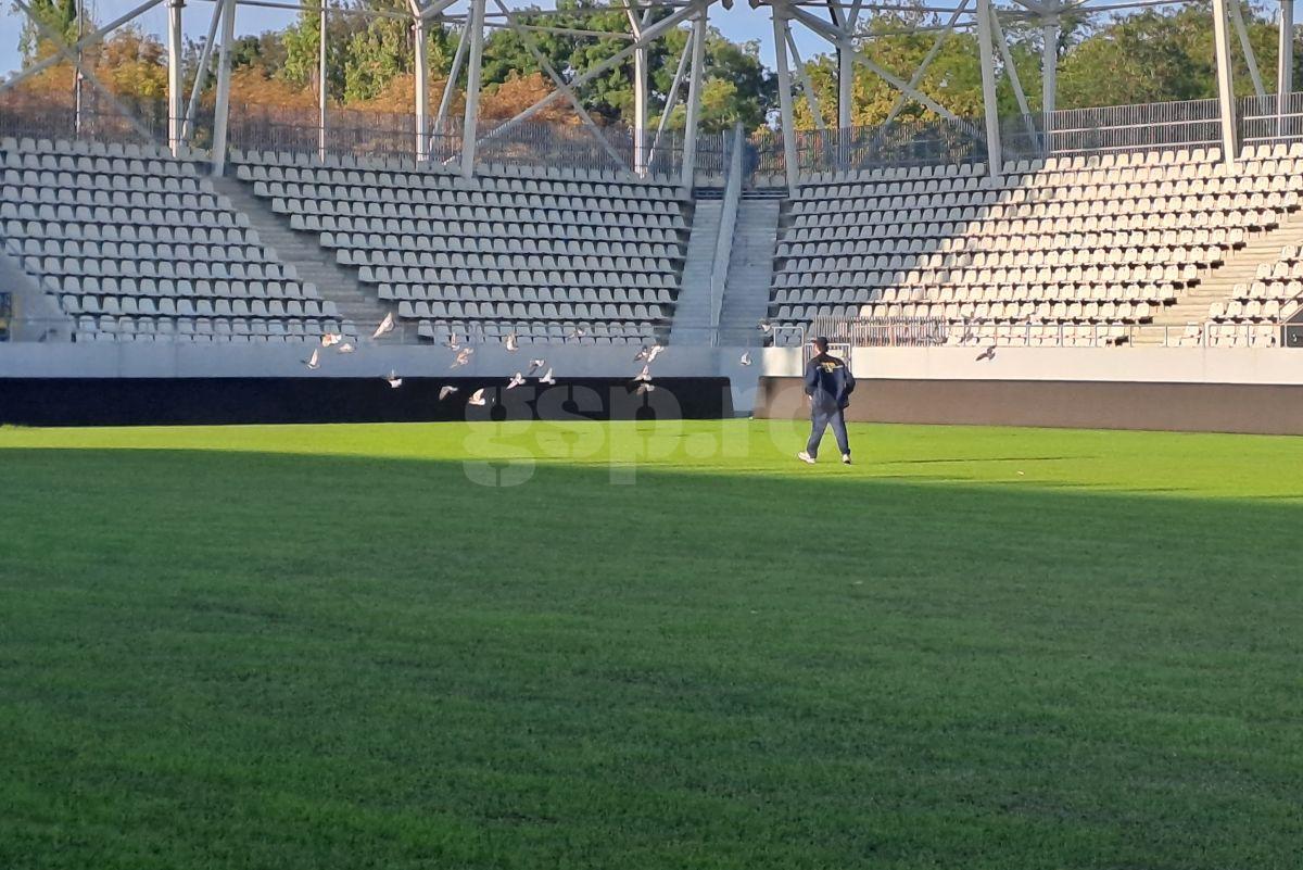 Acuzații grave: „Licitația de la Arcul de Triumf a fost ILEGALĂ, statul să intervină!” » Explicații pentru starea gazonului și ieșire val-vârtej din emisiune: „Eu sunt la alt nivel!”