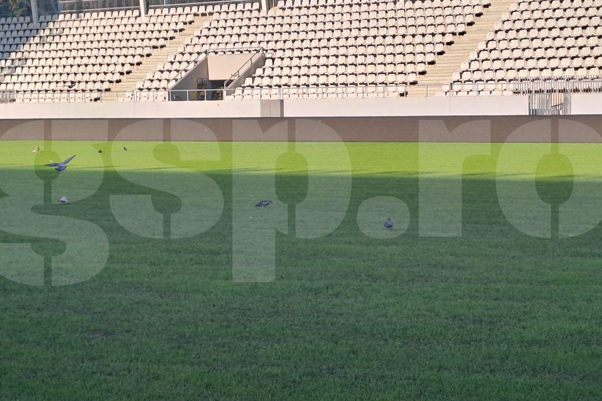 Gazon Arcul de Triumf Dinamo- Farul