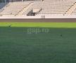 Gazon Arcul de Triumf Dinamo- Farul