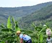 Campionatele Mondiale de ciclism au ajuns în Rwanda, Remco printre protagoniști / FOTO: Imago
