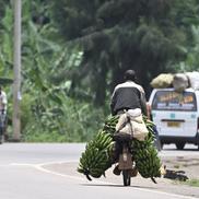 Campionatele Mondiale de ciclism au ajuns în Rwanda, Remco printre protagoniști / FOTO: Imago