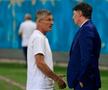 Ioan Ovidiu Sabău, înainte de Dinamo - Farul